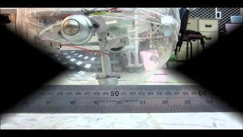 SMA activated rolling ball