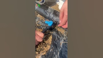 Dây tưới nhỏ giọt, Dây tưới phun mưa, Béc tưới xoay, Hệ thống tưới tự động Tháp Xanh