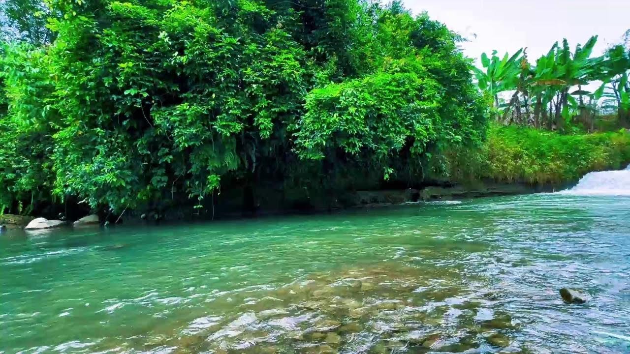 Live River Ambience – Nature Sounds for Deep Sleep & Focus