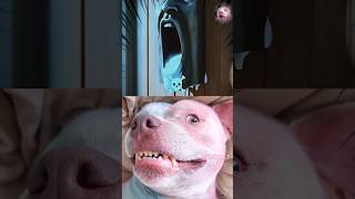 #voiceacting #tiktoktrend #jumpstyle #voiceeffects