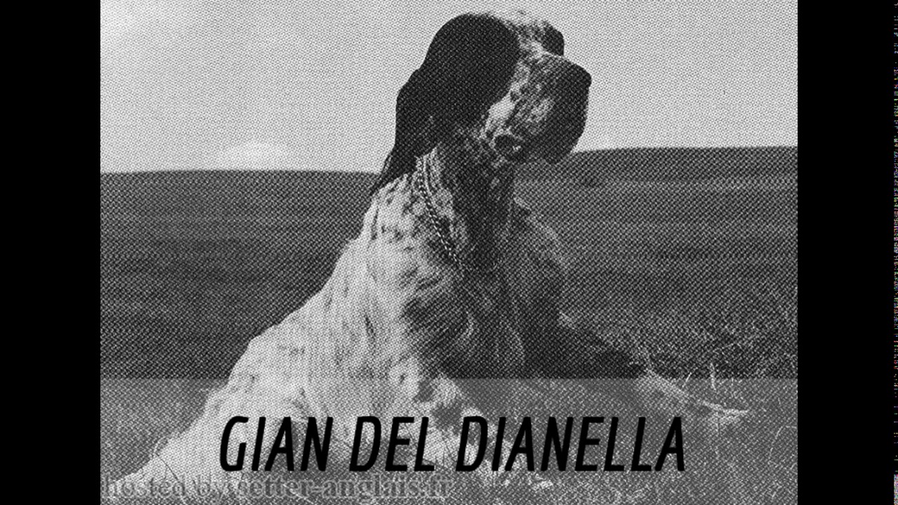 SETTER INGLESE con titolo CAMPIONE TRIALLER nel 1998-2008