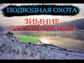 ПОДВОДНАЯ ОХОТА. ЗИМНИЕ СОРЕВНОВАНИЯ 2020