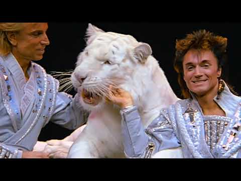 Video: Siegfried in Roy Neto vredno