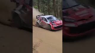OLIVER SOLBERG Rally de Portugal 2026 GAZOO Racing WRT #wrc #rally #racing #automobile #motorsport