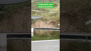 Oxigenação Para o Tanque dos Peixes #fishing #criaçãodepeixes #tilapia