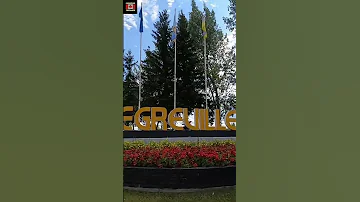 Exploring Vegreville S Fair A First Timer S Adventure 