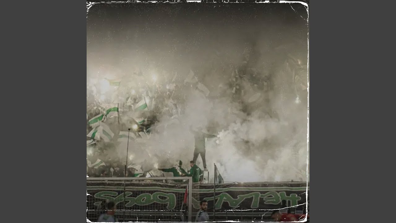 allez hooligans allez