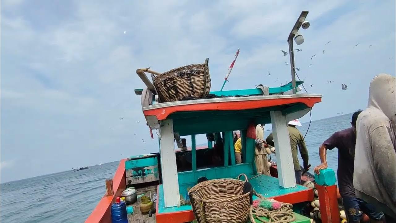 process of catching anchovies in Indonesian seas YouTube