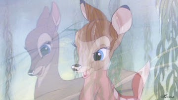 MEP Collection - MorningGloryStudios (Volume 5)