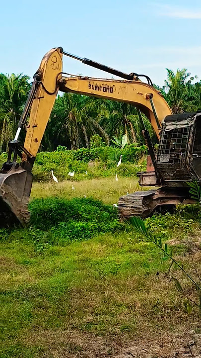 YouTube shorts video #malaysia #plantation #work #new #ytviral