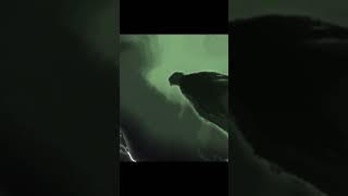 real horror : the big foot #horror #realhorror #scary # paranormal #terrifyingtales #ghost