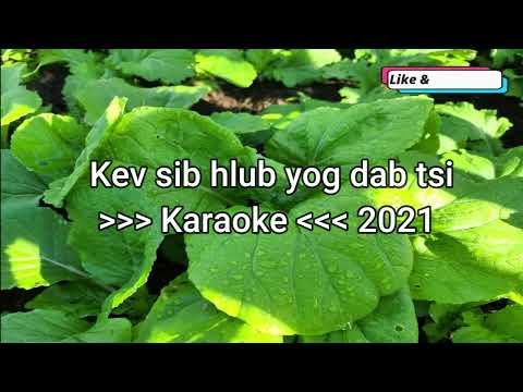 Video: Dab tsi yog instrumental style ntawm kev sib txuas lus?