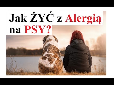 Video: 9 Lieky a hračky Psy, ktoré milujú jedlo, sa budú páčiť