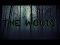 The Woods (A Bigfoot Fan Film)