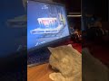 Кот заработал себе на пожизненный запас вискаса. #csgo #gaming #cs2