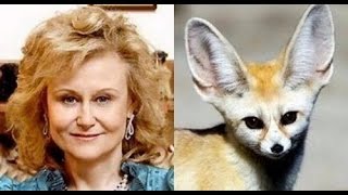 ДВОЙНИКИ ЗВЕЗД ИЗ МИРА ЖИВОТНЫХ ДВОЙНИКИ ЗВЕЗД ИЗ МИРА ЖИВОТНЫХ