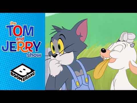 Baby Goat | Tom and Jerry | Boomerang UK - YouTube