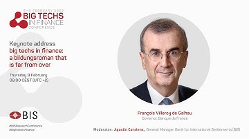 Keynote address: Big techs in finance: a bildungsroman that is far from over