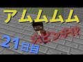 【マイクラ】刑務所から逃げ出す物語~第三章~【21日目】
