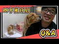 【阿杰】40萬訂閱啦，一家四口一起出發 Q&amp;A