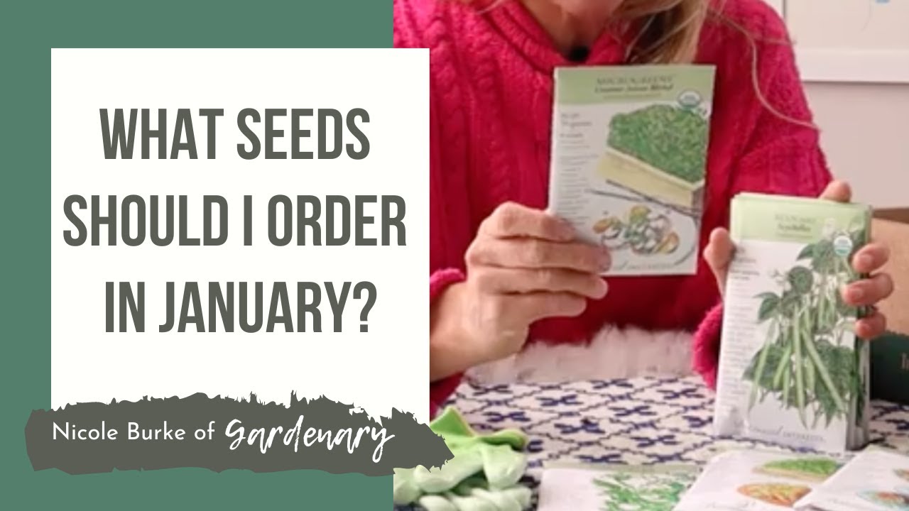 What Seeds Should I Order in January?