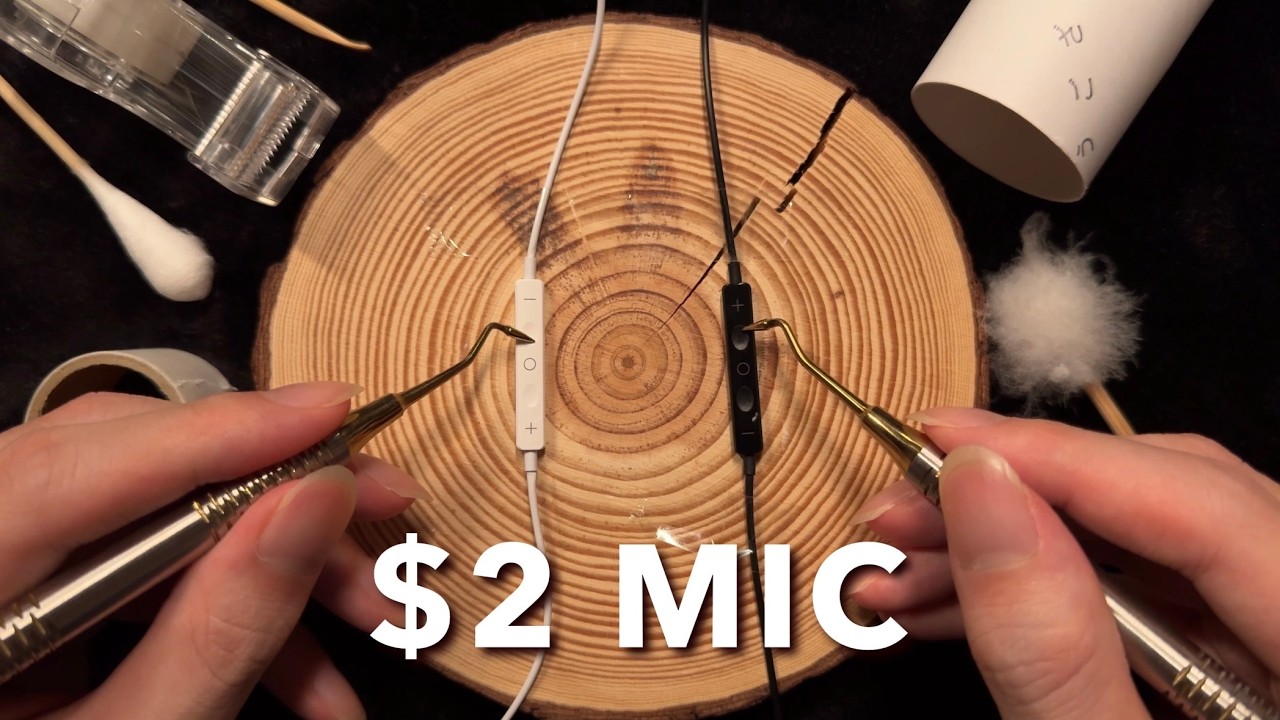 ASMR Can a Cheap $2 Earphone Mic Make You Sleep? 😴 (No Talking)