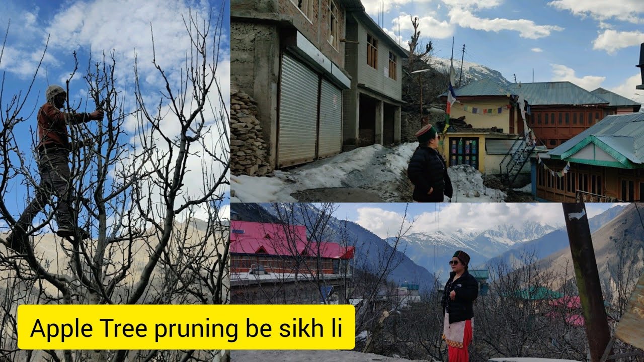 My Village Tour in Winter || Nesang || Vlog 193 || @Kinnauriwings || Shilpa Negi