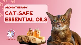 Cat-Safe Essential Oils: Aromatherapy for Feline Wellness by Meow Mastery 36 views 2 months ago 5 minutes, 38 seconds