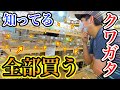 関東最大級の昆虫ショップで知ってるクワガタ全部買ってみた結果…