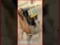 دماغه رايحة منه خلع م لط في الشارع قدام البنات وعمل الغلط دماغه رايحة منه خلع م لط في الشارع قدام البنات وعمل الغلط