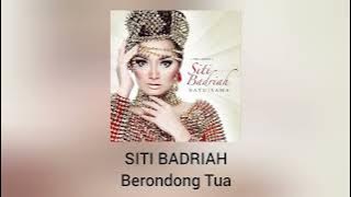 Download lagu Siti Badriah - Berondong Tua