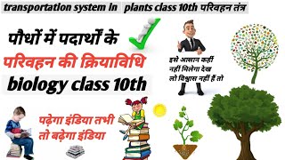 पौधों में पदार्थों के परिवहन की क्रियाविधि||transportation system in plants  class10th|परिवहन तंत्र।