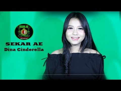 Video Dina Cinderella