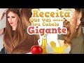 3 receitas Caseiras que vão deixar seu cabelo GIGANTE!