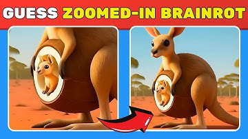 Guess the Zoomed-In Brainrot Meme 🔍💀 The Ultimate Meme Challenge!