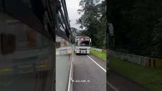 Download Lagu king and queen 👑💖 MP3