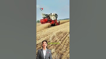 #fcnfm Maximize Your Crop Yields with Our Advanced Grain Drying Solutions - Suitable for Various Gra