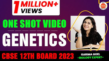 MOLECULAR BASIS OF INHERITANCE in One Shot - All Theory, Tricks & PYQs | Genetics Unit 2 | NEET 2023