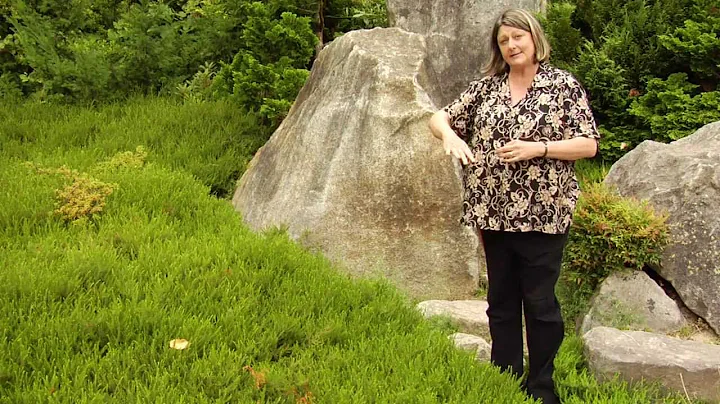 How to Prune Heaths and Heathers - Instructional V...