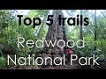 Top 5 Trails Redwood National Park, California ( GoPro HD)