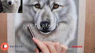 Wolf tutorial preview #beginnerartists #pastelpencils #patreon #softpastels