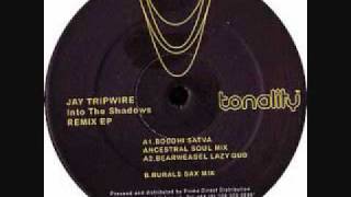 Jay Tripwire - Into the Shadows (Trudub)