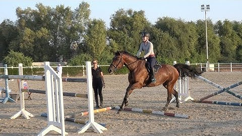 My New Horse Gabbana (Gridwork to 1.35m)