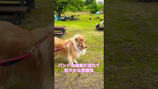 2026/6/14 お出かけと新しいお友達