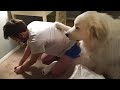 The FUNNIEST Pet Videos of 2023!| BEST OF FUNNY DOGS AND CATS