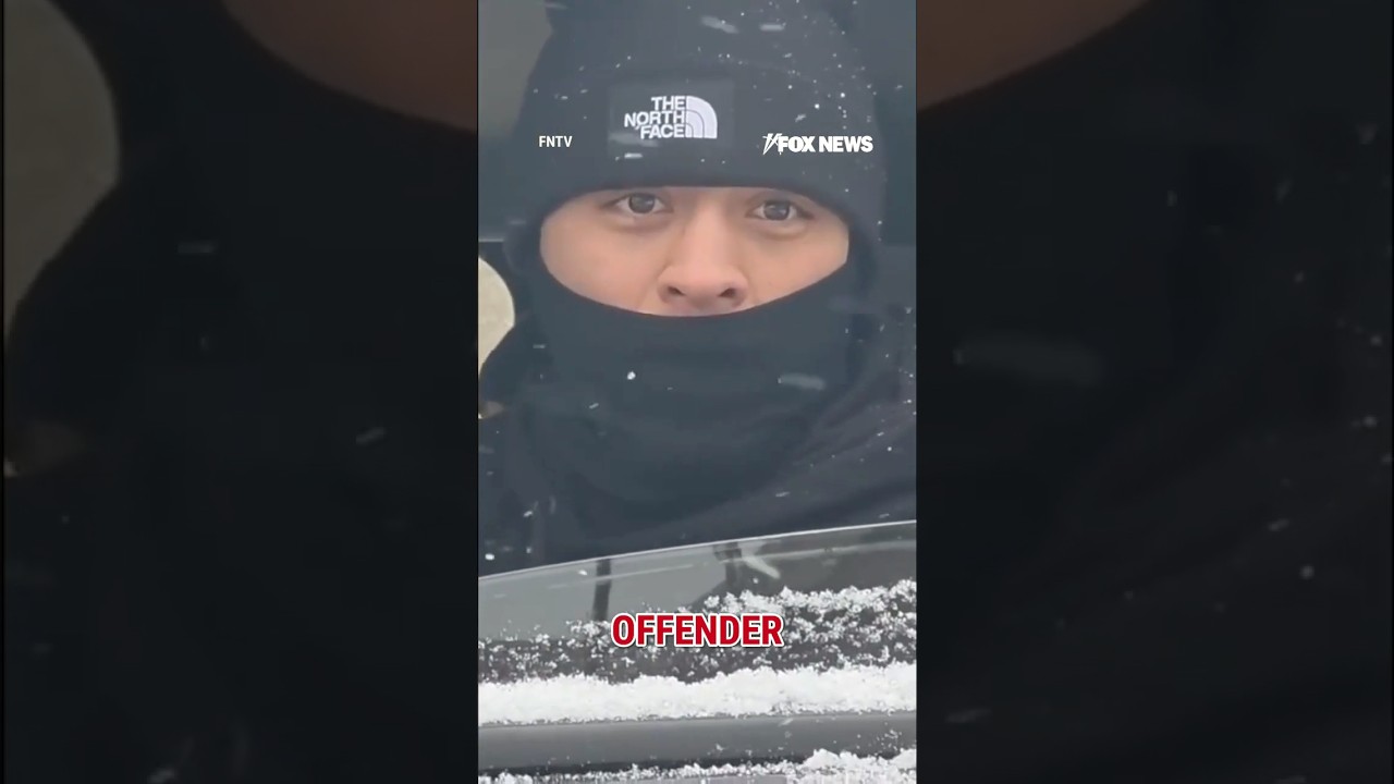 WATCH: ICE agent SCOLDS agitator for disrupting arrest of child sex offender 