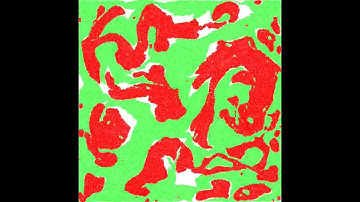 Anomalous segregation dynamics of self propelled particles