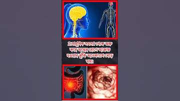 general knowledge || quiz | spinal cord part-358