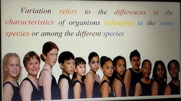 XII-Biobotany-Classical genetics part-1