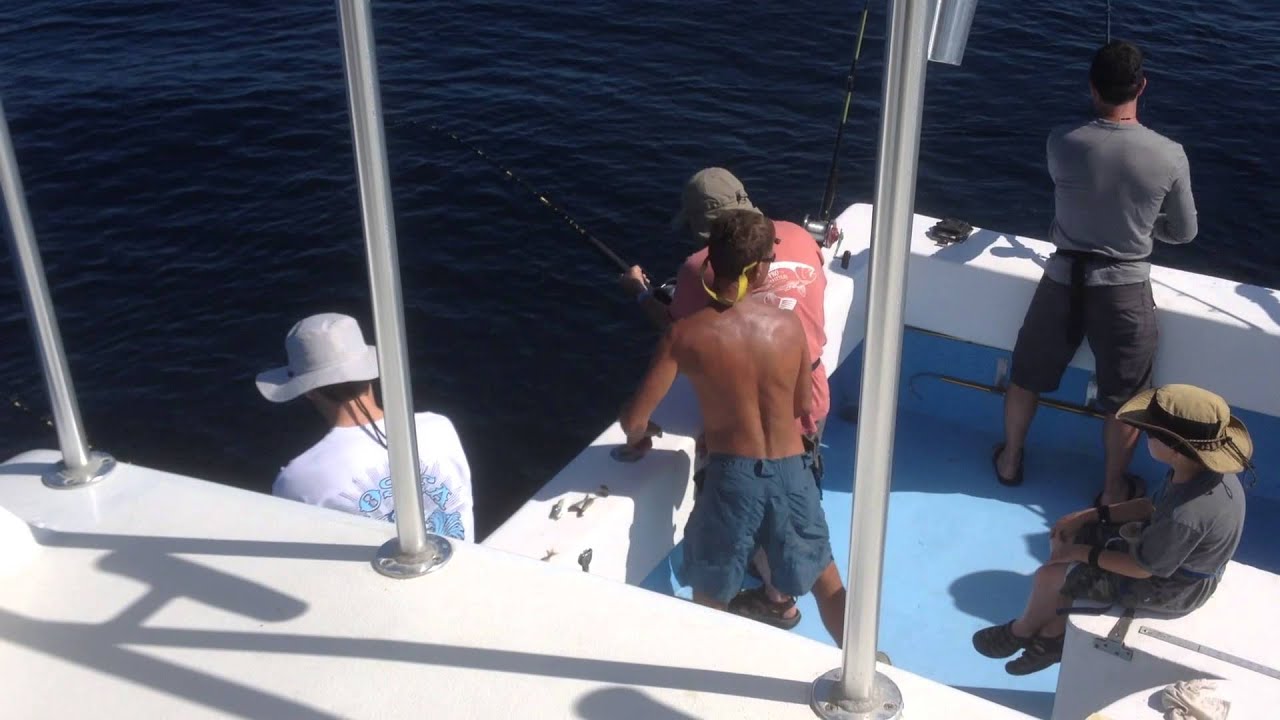 Charter fishing Destin Fl - YouTube